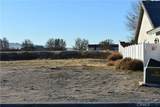 27231 Peach Tree - Photo 3