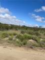 46 Sable - Photo 5