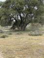 46 Sable - Photo 8