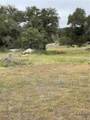 46 Sable - Photo 10