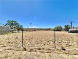 61956 Mountain View - Photo 6
