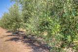 4065 County Road - Photo 29