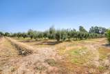 4065 County Road - Photo 30