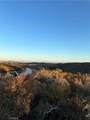 50 Sable - Photo 2