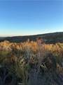 50 Sable - Photo 6