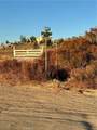 54 Sable - Photo 12