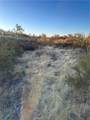 54 Sable - Photo 7