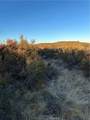 54 Sable - Photo 8