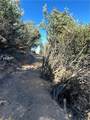 37342 Pisgah Peak - Photo 3
