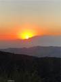 37342 Pisgah Peak - Photo 5