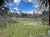 3786 Bronco Hollow Rd - Photo 24