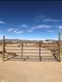 0 Squaw Bush - Photo 4