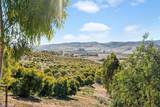 3515 Turri Road - Photo 51