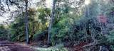 15151 Gray Pine - Photo 4