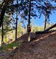 50963 Chu Ranch - Photo 5