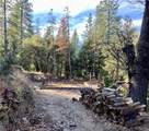 50963 Chu Ranch - Photo 7