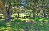 0 Ortega Highway - Photo 17