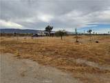 3185 Olivera - Photo 17