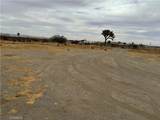 3185 Olivera - Photo 22