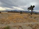 3185 Olivera - Photo 9