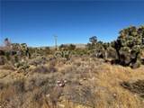 56434 Desert Gold - Photo 3