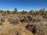 56434 Desert Gold - Photo 4