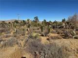 56434 Desert Gold - Photo 5