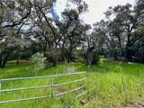 19334 Live Oak Canyon - Photo 3