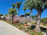 37305 Calle De Lobo - Photo 11