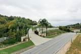 37305 Calle De Lobo - Photo 4