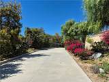 37305 Calle De Lobo - Photo 40