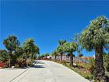 37305 Calle De Lobo - Photo 7