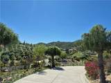 37305 Calle De Lobo - Photo 9