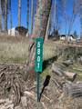 5801 Thoreau - Photo 7