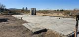 57186 Karol - Photo 2