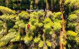 10 Roz Ln - Photo 5