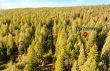 10 Roz Ln - Photo 6
