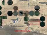 33255 Minneola Rd - Photo 28