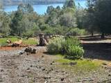 3648 Shoreline View - Photo 2