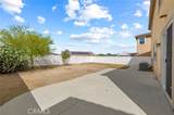 26382 Bramble Wood Circle - Photo 40