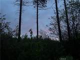 1 Hog Ranch - Photo 2
