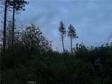 1 Hog Ranch - Photo 3