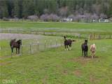 10536 Highway 175 - Photo 9