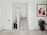 11520 Ferro Street - Photo 17