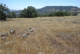 20 Avocado Mesa - Photo 6