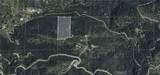 8 Acres - Photo 4