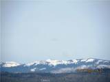 39854 Lilley Mountain - Photo 42