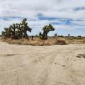 0 Sheep Creek - Photo 9