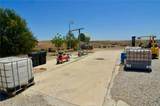6320 Von Dollen - Photo 19