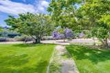 5605 Friars Road - Photo 18